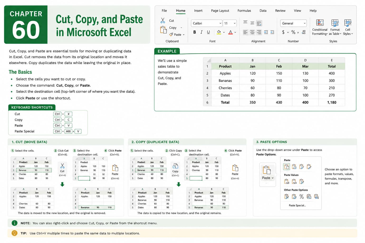 Chapter 60: Cut, Copy, and Paste in Microsoft Excel