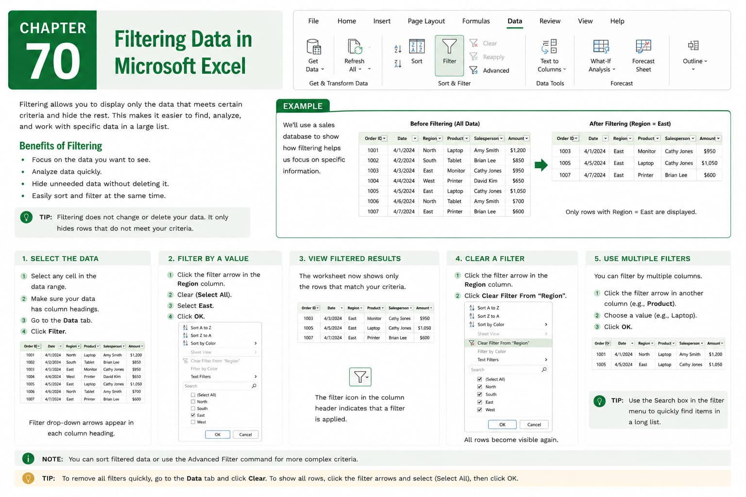 Chapter 70: Filtering Data in Microsoft Excel
