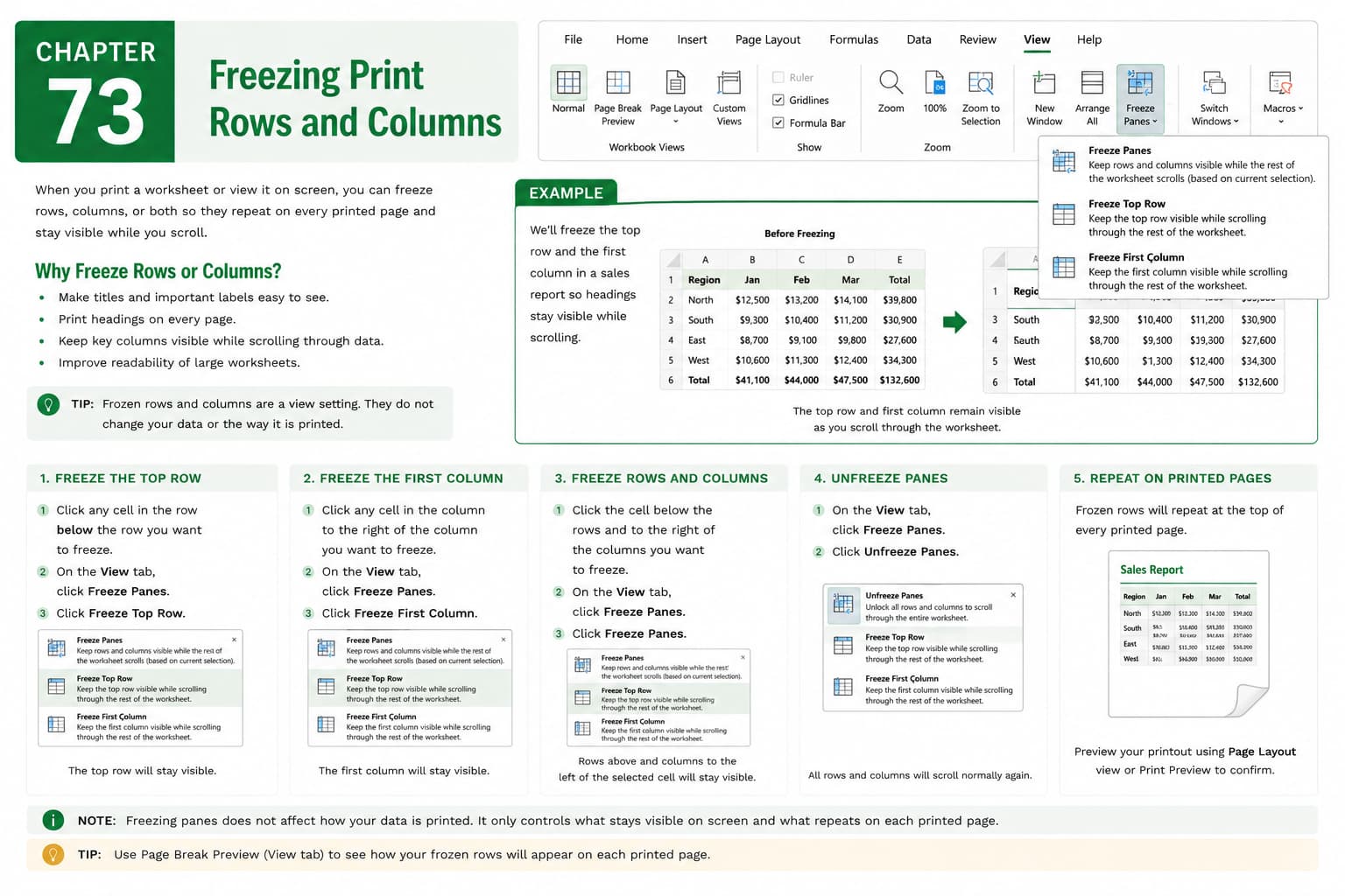 Chapter 73: Freezing Print Rows and Columns